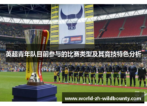 英超青年队目前参与的比赛类型及其竞技特色分析