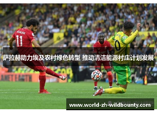 萨拉赫助力埃及农村绿色转型 推动清洁能源村庄计划发展 萨拉赫助力埃及农村绿色转型 推动清洁能源村庄计划发展