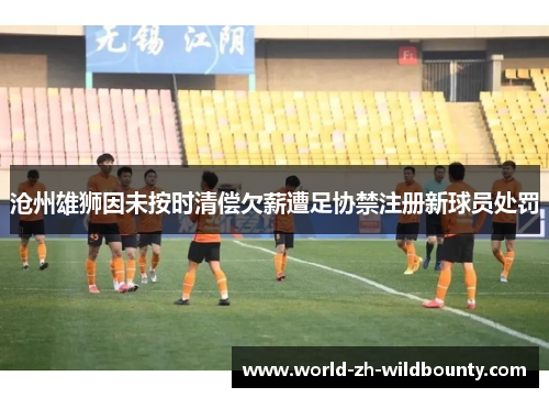 沧州雄狮因未按时清偿欠薪遭足协禁注册新球员处罚